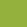 swatch color Lime
