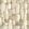swatch color Ivory