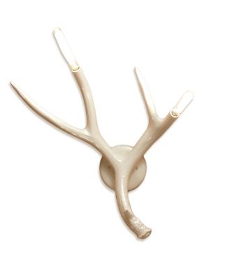 Superordinate Antler Sconce
