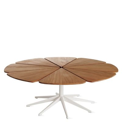 Petal Coffee Table