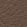 swatch color Camel