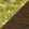 swatch color Wlt.Chartreuse