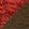 swatch color Walnut.Crimson
