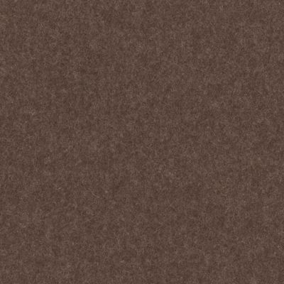 swatch color Brown