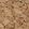 swatch color Cork