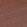swatch color Walnut