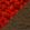 swatch color Walnut.Scarlet