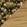swatch color Oak.Spruce
