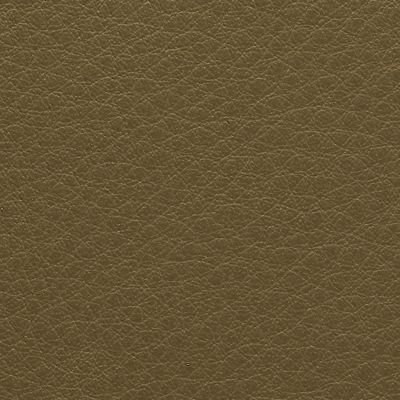 swatch color Olive