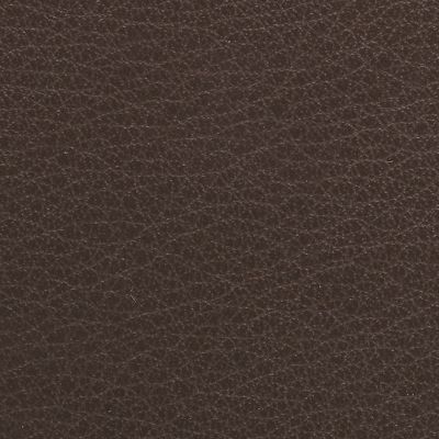 swatch color Stout